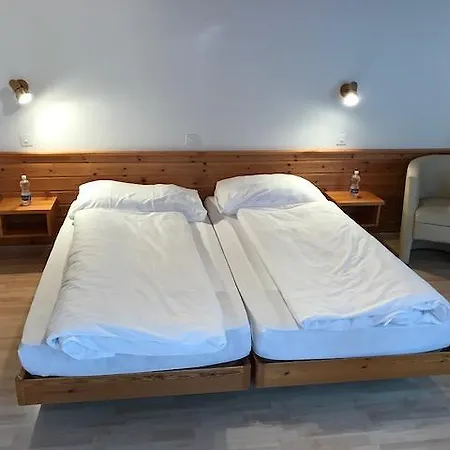 Отель Chamanna 2*