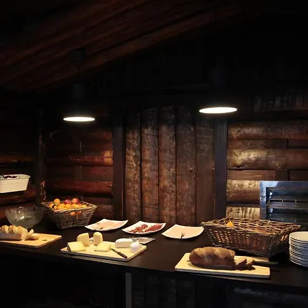 Отель Chamanna 2*