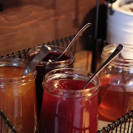 Hotel Chamanna Arosa